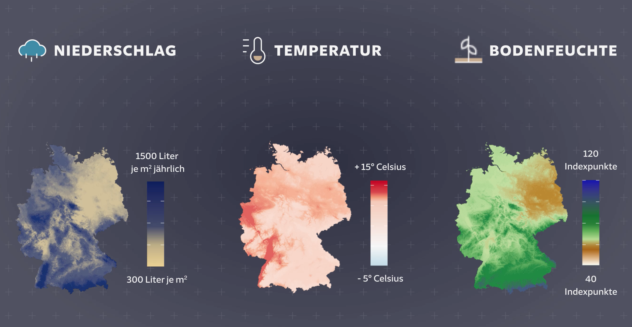 The 34 Best Interactive Data Visualizations from the New York