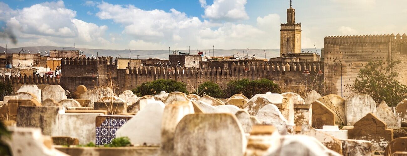 Panoramic view over the Medina of Fes