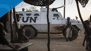 UN Police Mali